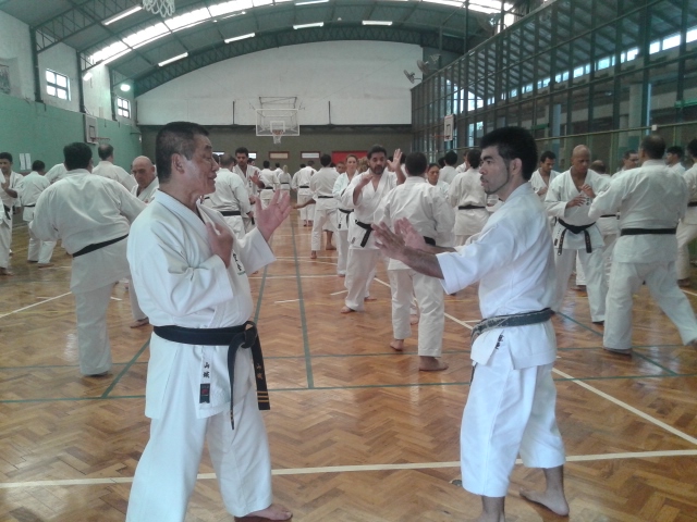 Visita Maestros de Karate de Okinawa (4)