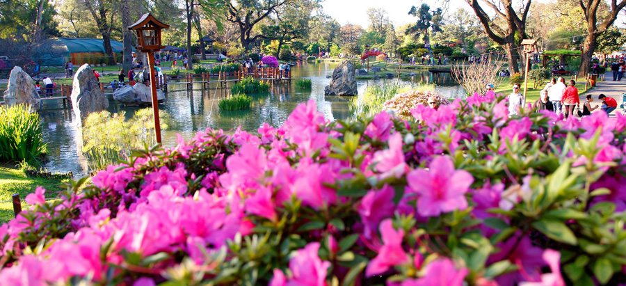 Jornada de salud en el Jardín Japonés _mg_2239-b