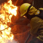Incendios en Región de Bío Bío (Concepción) - Gentileza EMOL