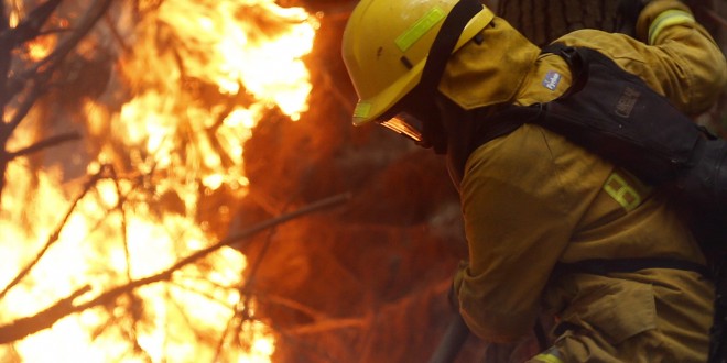 Incendios en Región de Bío Bío (Concepción) - Gentileza EMOL