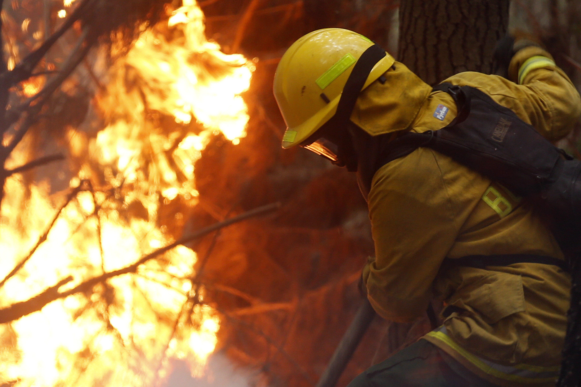 Incendios en Región de Bío Bío (Concepción) - Gentileza EMOL