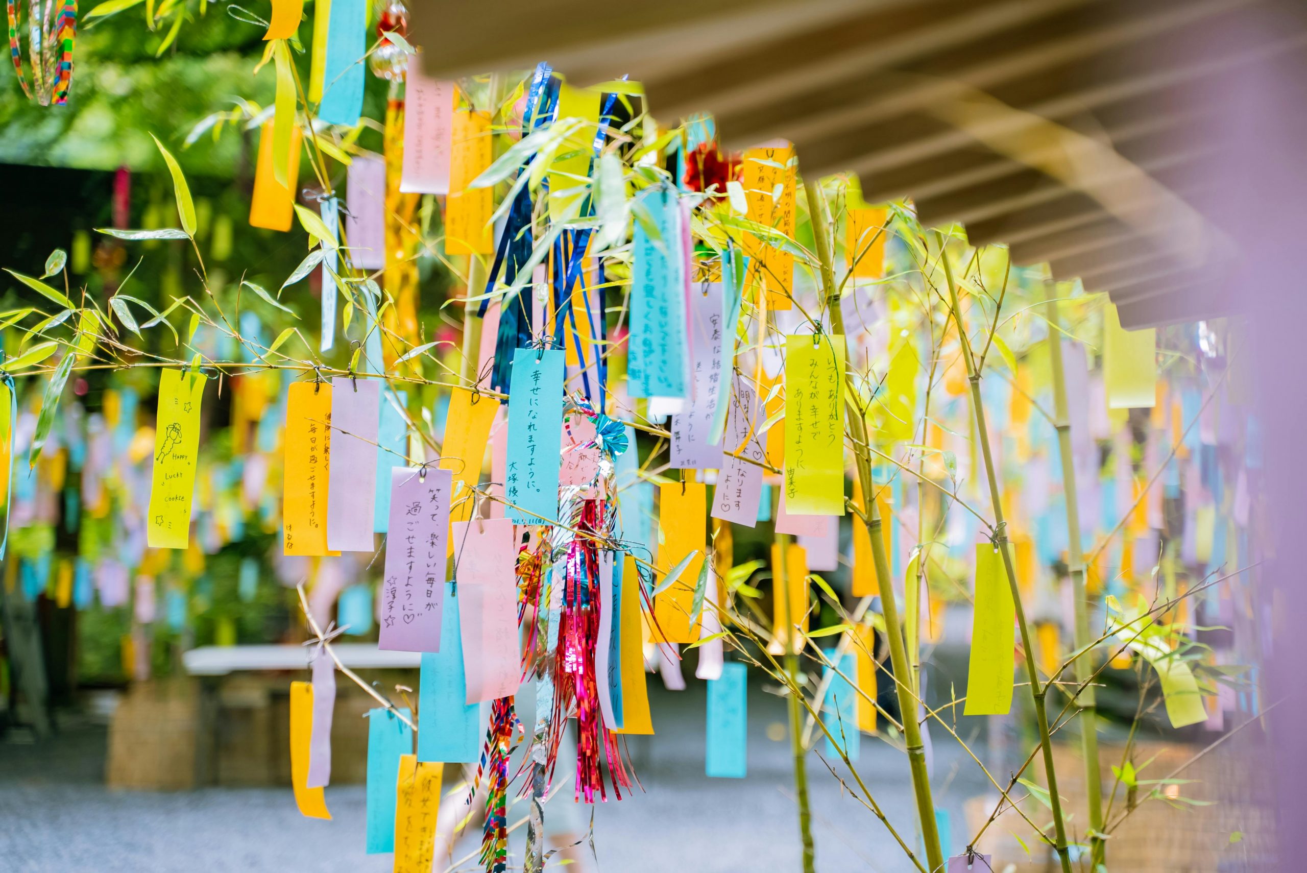 Tanabata: Festival de las estrellas pexels-satoshi-8780834